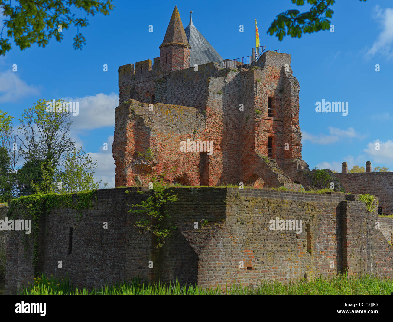 I ruderi del castello del Signore Brederode, costruire nel XIII secolo e distrutta nel 80- anno la guerra tra Olanda e l'inquisizione spagnola Foto Stock