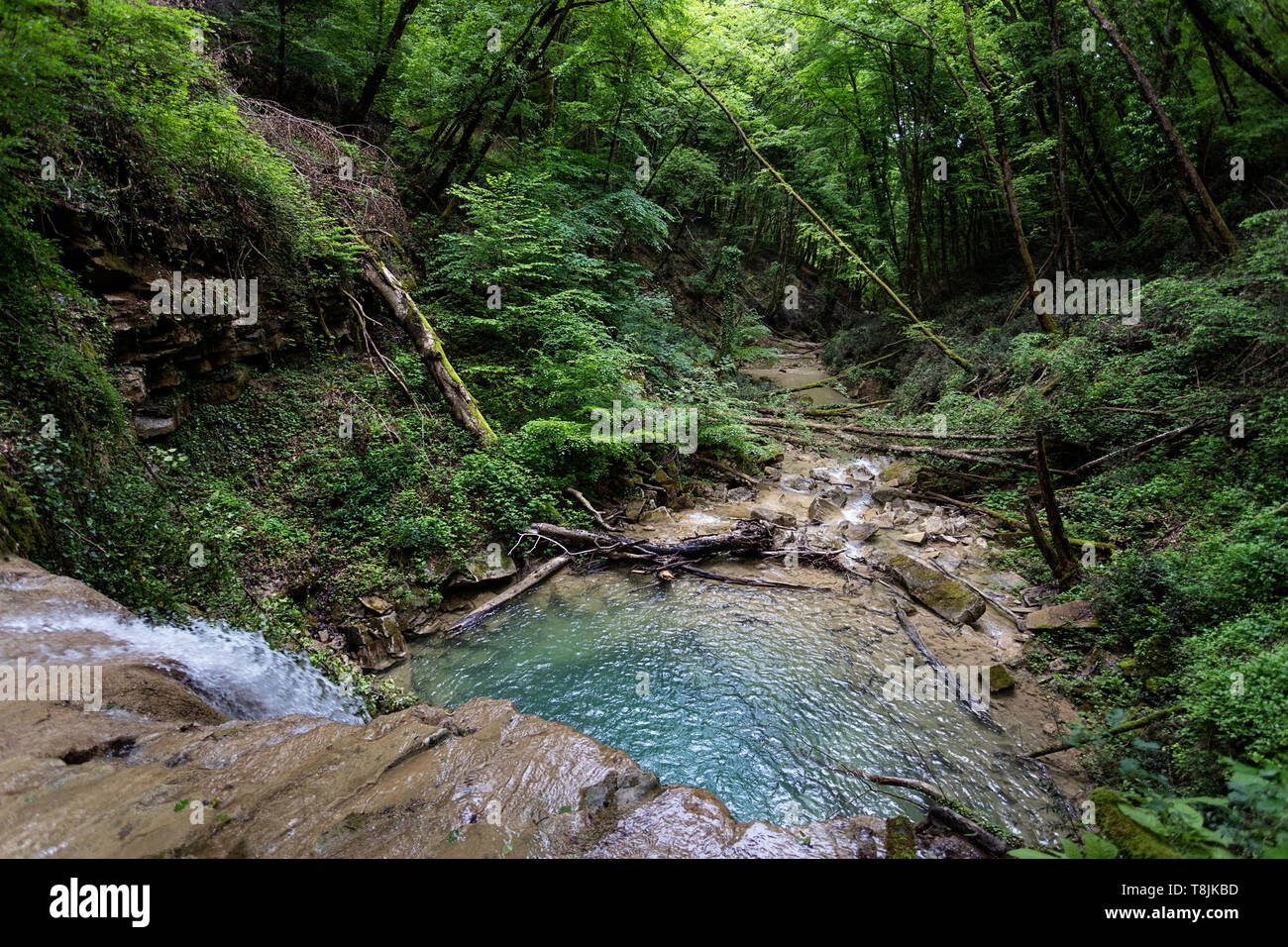 Wild fiume di montagna - la corrente che fluisce attraverso una folta foresta verde ad una bellissima piscina naturale in fitti boschi. Pasjak, Slovenia Foto Stock
