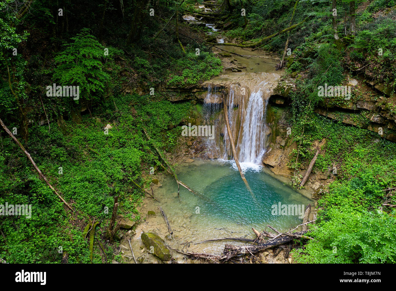 Vista aerea del fiume selvaggio - la corrente che fluisce attraverso una folta foresta verde ad una bellissima piscina naturale in fitti boschi.prese da fuco. Pasjak, Slovenia Foto Stock
