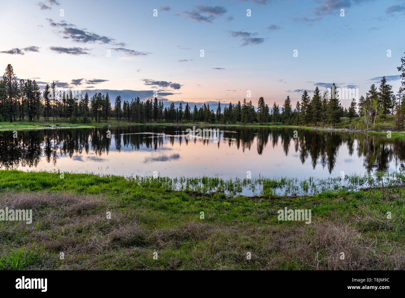 Wheeler Piscina a Turnbull National Wildlife Refuge Foto Stock