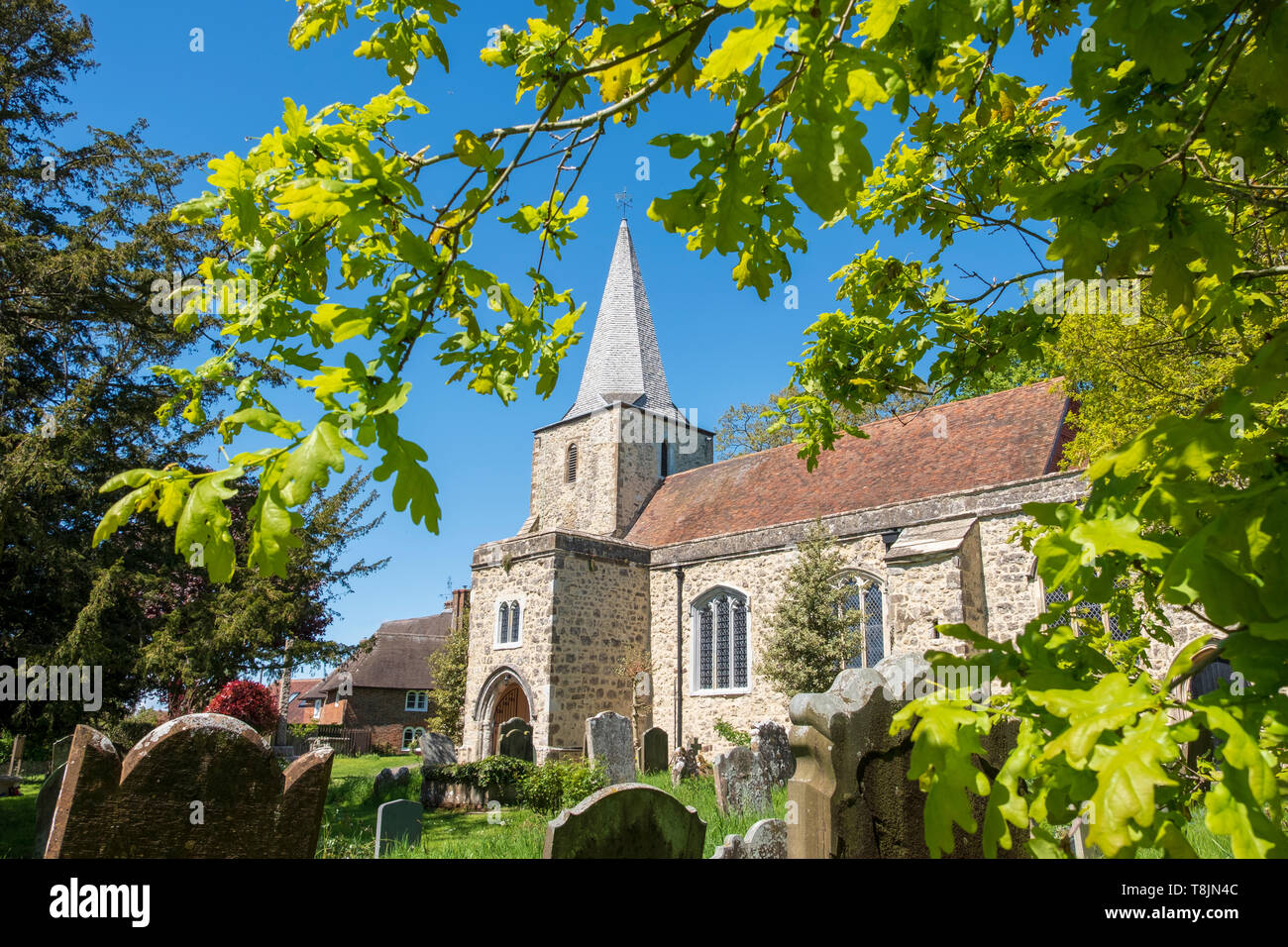 La pittoresca chiesa di St Nicholas, Pluckley, Kent UK, in primavera, dove sono state girate le scene della popolare serie televisiva "The Darling Pills of May". Foto Stock