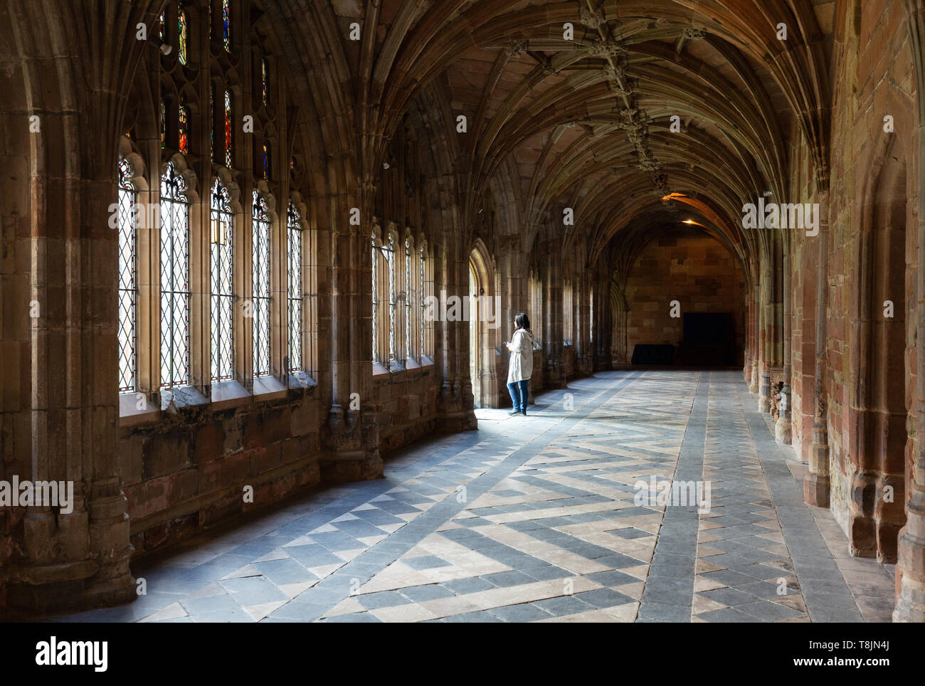Cattedrale di Worcester chiostri, cattedrale di Worcester, Worcester Worcestershire Inghilterra REGNO UNITO Foto Stock