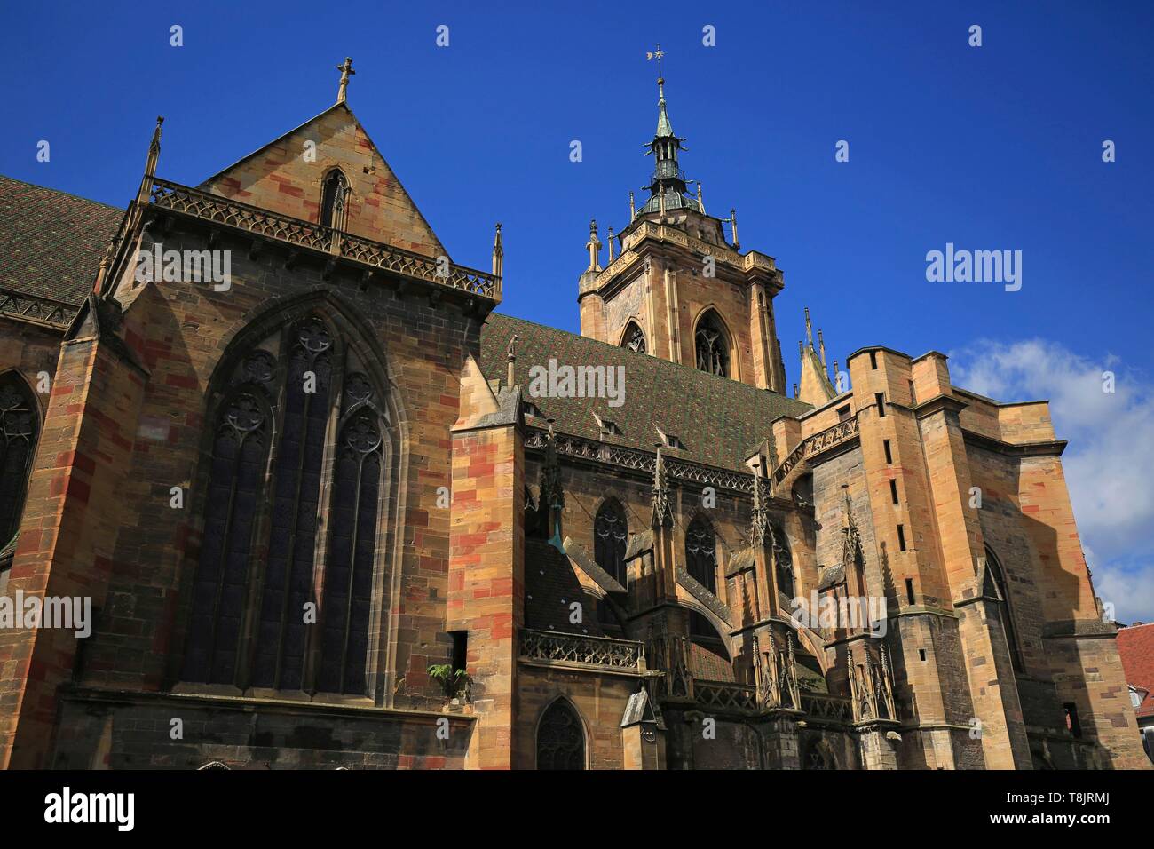 Francia, Haut Rhin, Colmar, la collegiata di San Martino, spesso chiamato Saint Martin de Colmar cattedrale, è il più importante edificio religioso della città di Colmar, in Alsazia, e una delle più grandi chiese gotiche in Haut Rhin Foto Stock