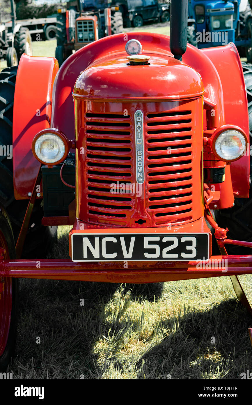 Vecchio classico vintage David Brown trattore agricolo, REGNO UNITO Foto Stock