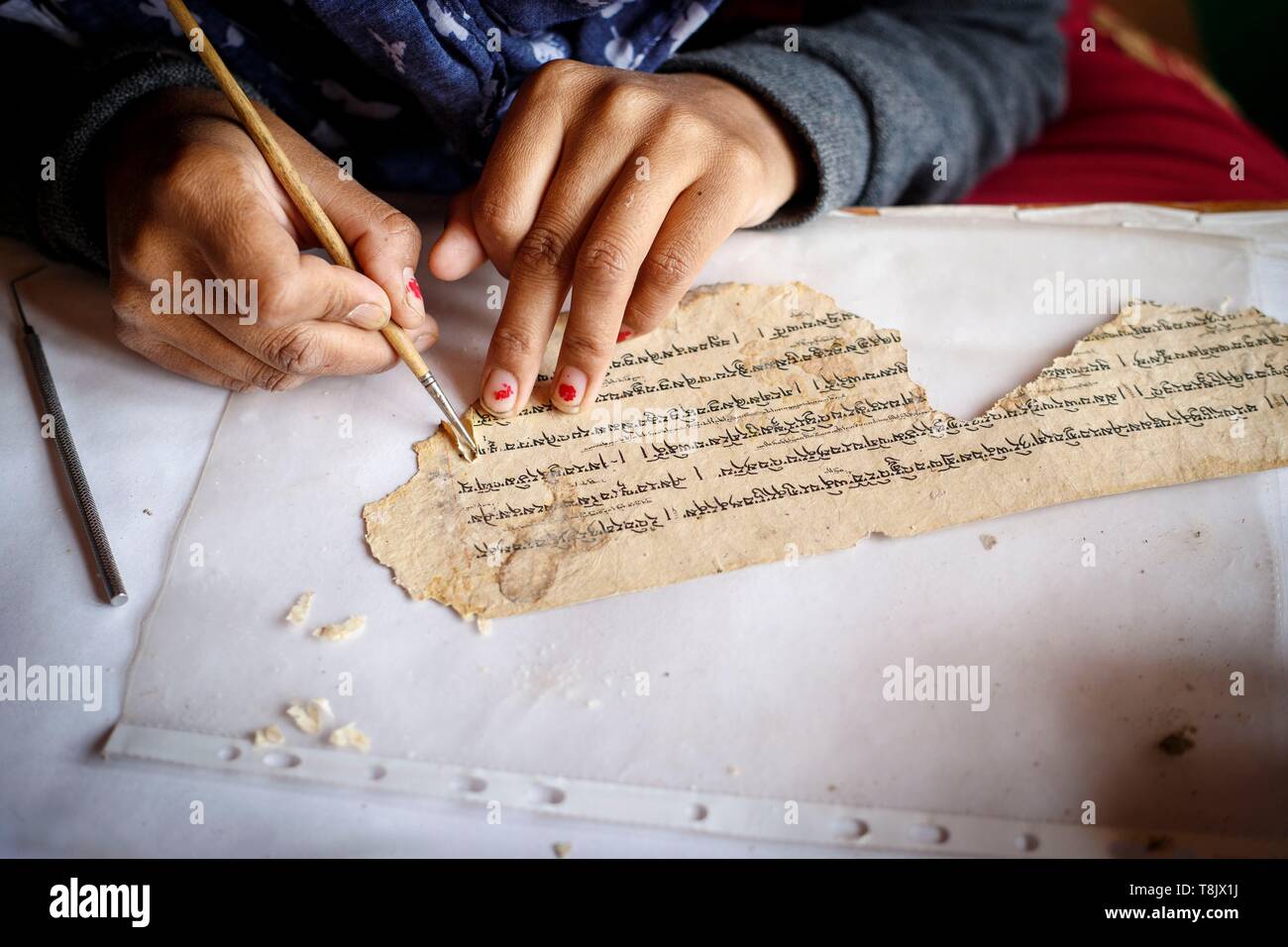 India, stato di Jammu e Kashmir, Himalaya, Ladakh, Indus Valle, Matho monastero (gompa), nel laboratorio di restauro di una donna dal villaggio di riparazioni Mahto le lacrime di un libro di preghiera foglietto. Ella ha aperto a metà su entrambi i lati dello spessore e inserire un pezzo di carta Foto Stock