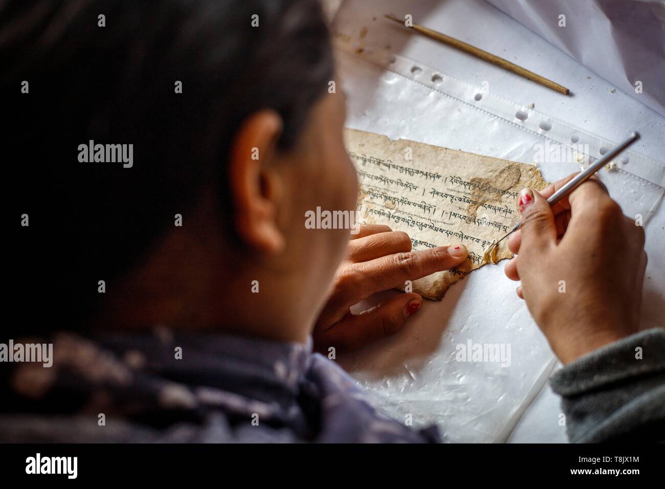 India, stato di Jammu e Kashmir, Himalaya, Ladakh, Indus Valle, Matho monastero (gompa), nel laboratorio di restauro di una donna dal villaggio di riparazioni Mahto le lacrime di un libro di preghiera foglietto. Ella ha aperto a metà su entrambi i lati dello spessore e inserire un pezzo di carta Foto Stock
