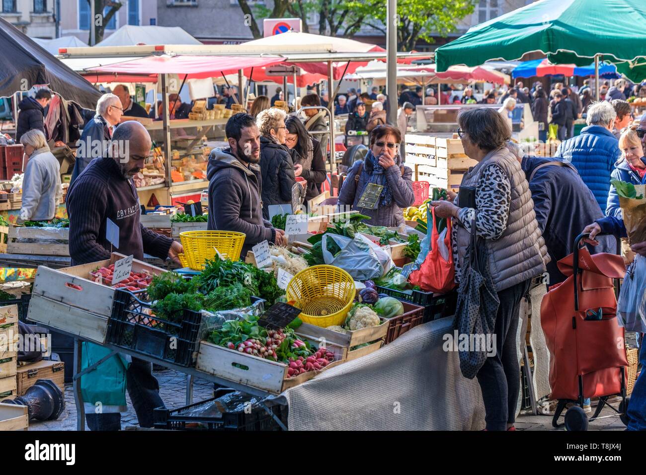 Francia, Lot, Cahors, giorno di mercato ai piedi della cattedrale di Saint Etienne Foto Stock
