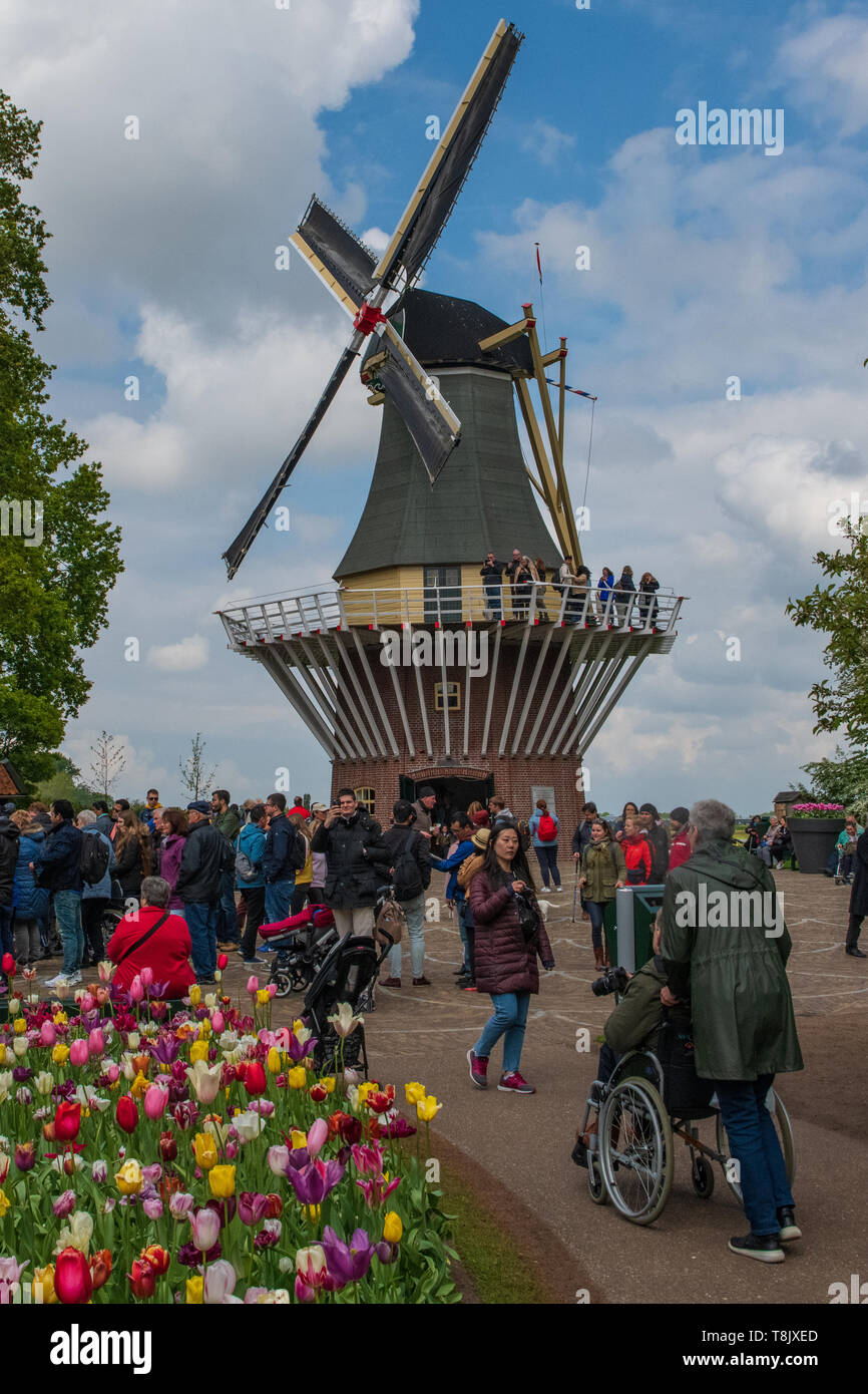Mulino a vento in Olanda - Mulino a vento olandese e tulipani - torre in lavoro windmill Paesi Bassi - i turisti e mulino a vento al giardino Keukenhof con vele Foto Stock