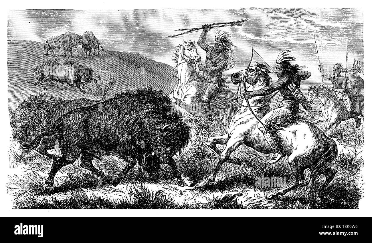 Indiani del Nord America hunt bufali, , (lettura libro, 1883) Foto Stock