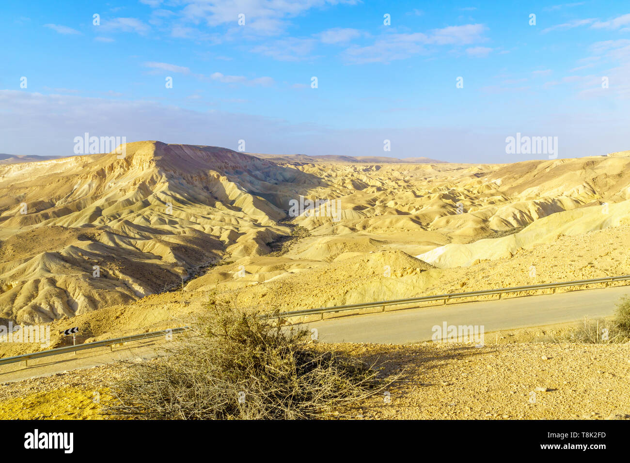 Paesaggio di Nahal Zin, vicino a Sde Boker, deserto del Negev, Israele sud Foto Stock