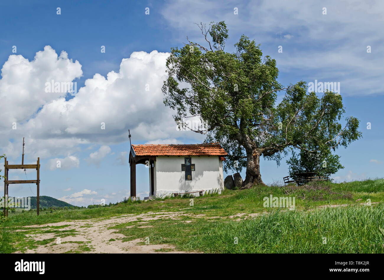 Bellissimo paesaggio con la primavera venerato betulla e vecchia cappella, situato nella montagna plana, Bulgaria Foto Stock