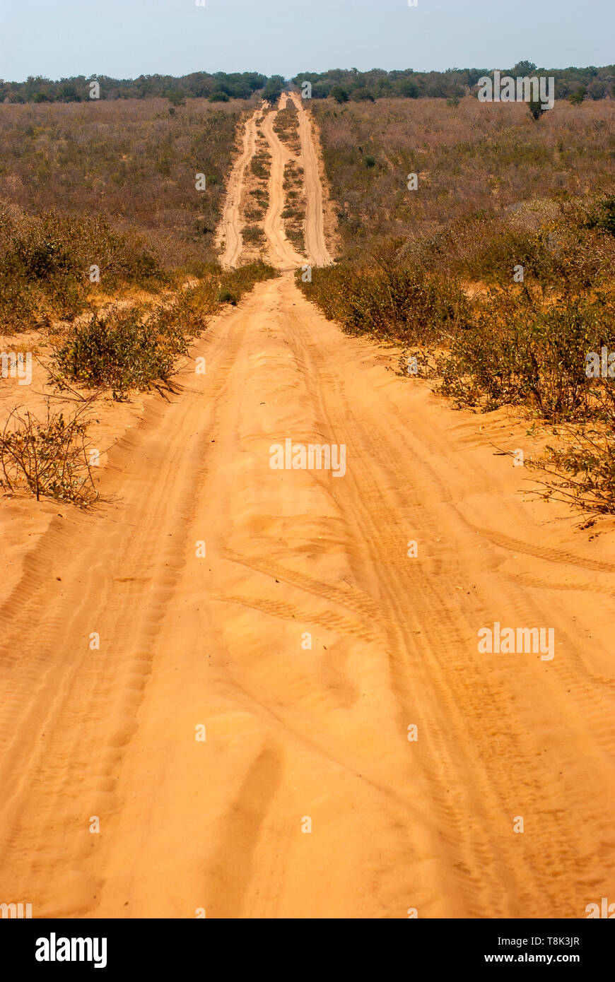 Pesante sabbia sui percorsi off-road attraversando Chobe National Park, Botswana Foto Stock