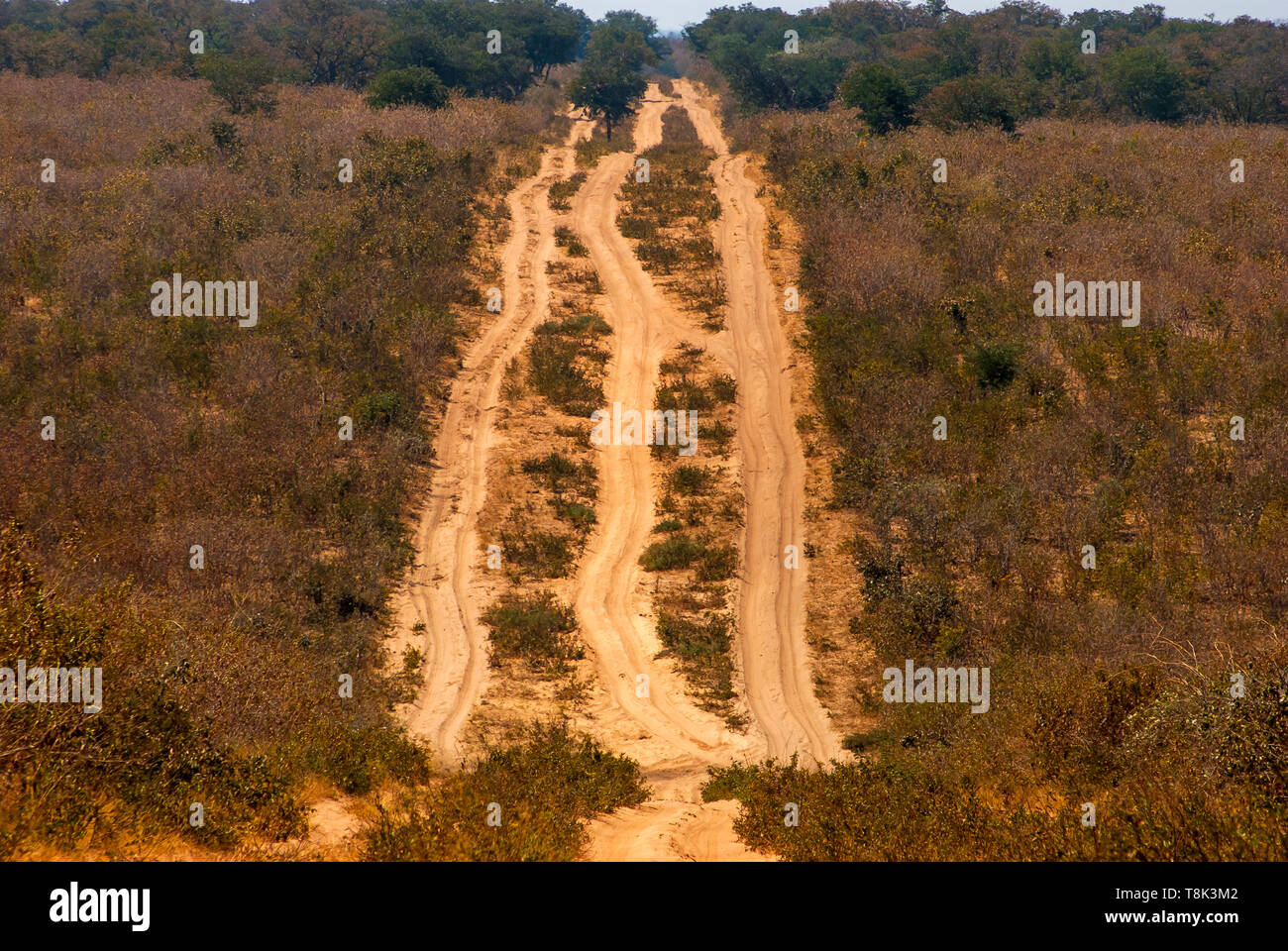 Pesante sabbia sui percorsi off-road attraversando Chobe National Park, Botswana Foto Stock