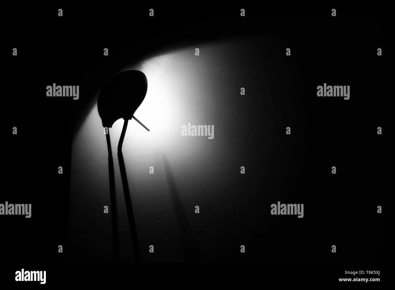 Lampada da tavolo a luce di colata sulla parete. Foto Stock