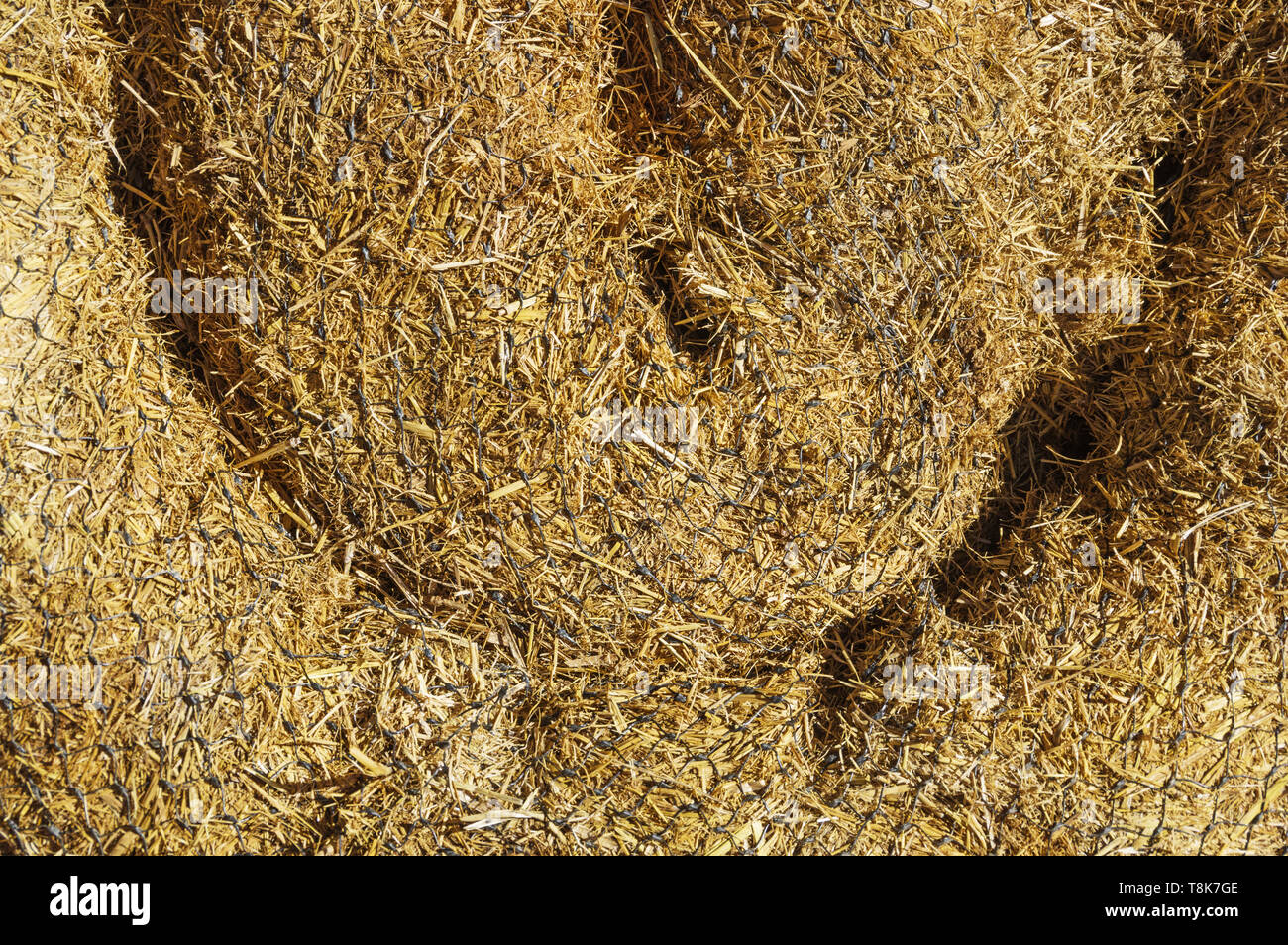 La paglia di bargiglio bobina con sfondo di compensazione Foto Stock
