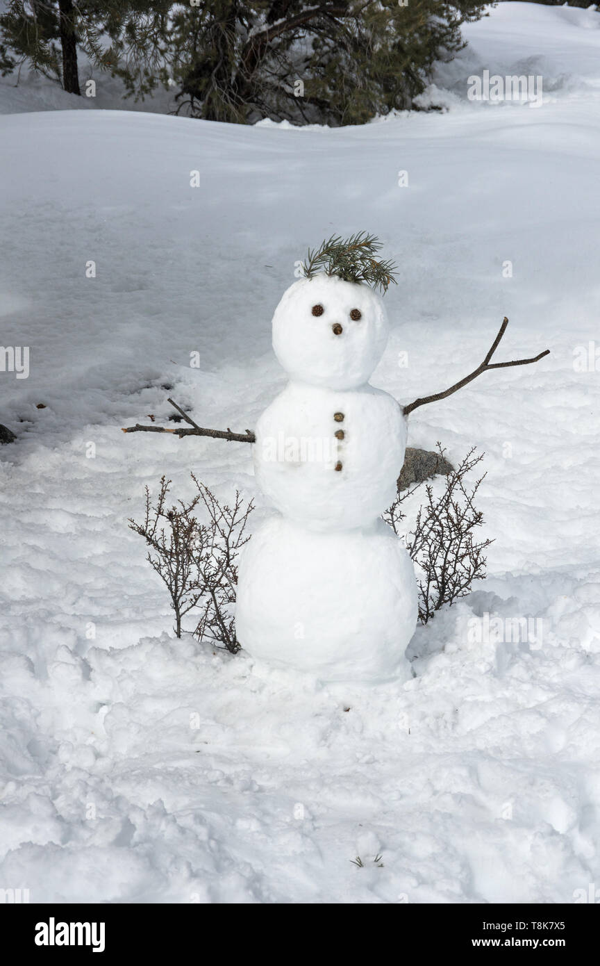 Pupazzo di neve con stick di armi e di aghi di pino capelli Foto Stock