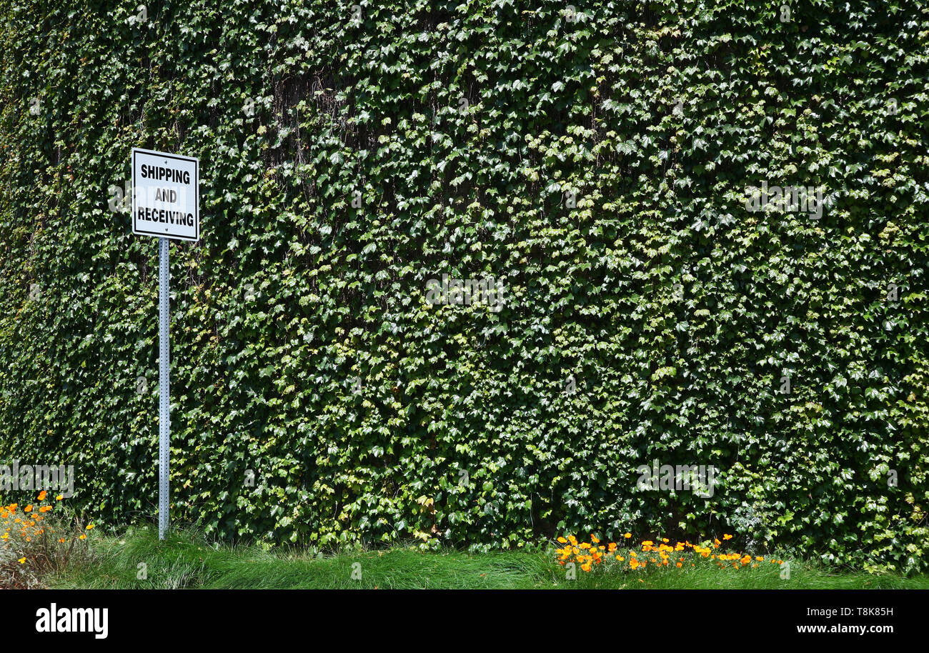 Spese di spedizione e ricezione di firmare contro la parete di edera Foto Stock