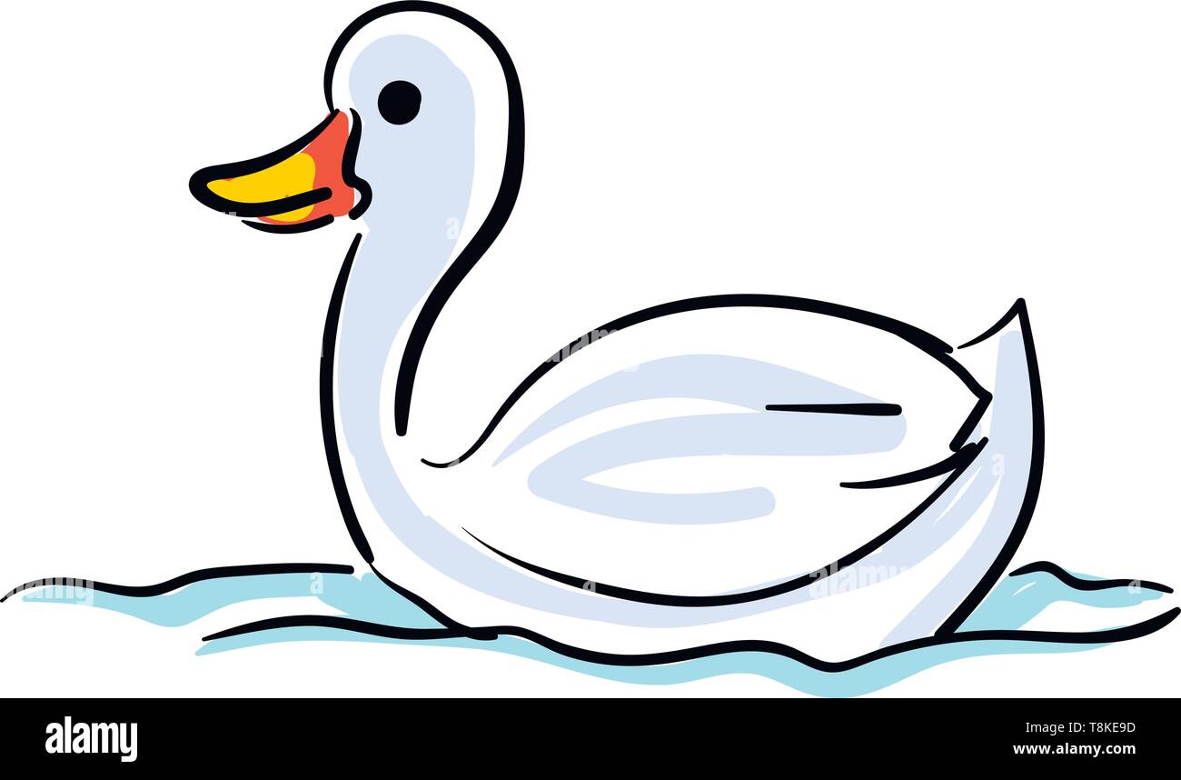 La pittura di un soffice Swan ha una bolletta Orange e nuota attraverso il mare impostato su isolato sfondo bianco visto dal lato, il vettore, il colore di disegno o Illustrazione Vettoriale