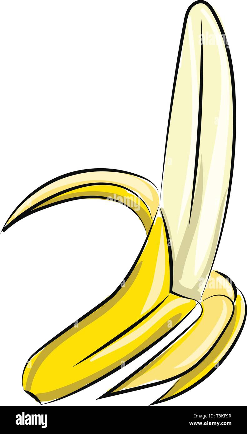 Banana è un lungo tropicali Frutta curvo con pelle gialla., il vettore, il colore di disegno o illustrazione. Illustrazione Vettoriale