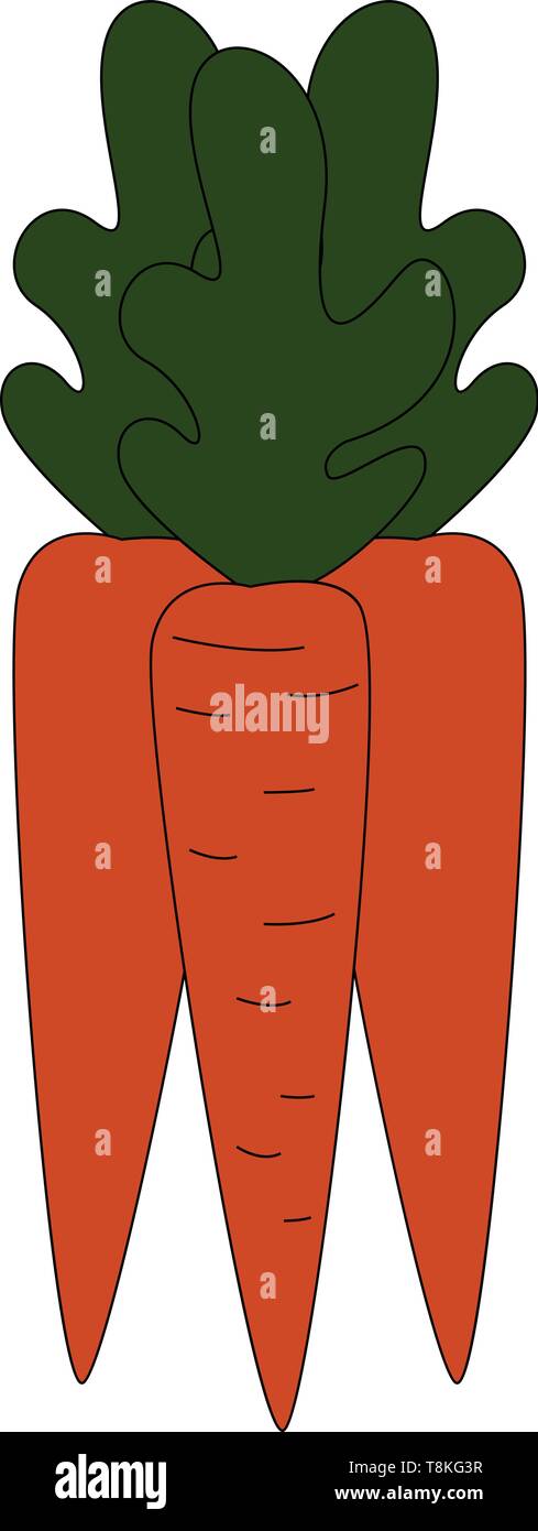 Una carota è un vegetale. È arancione radice commestibili e foglie verdi sulla sua sommità., il vettore, il colore di disegno o illustrazione. Illustrazione Vettoriale