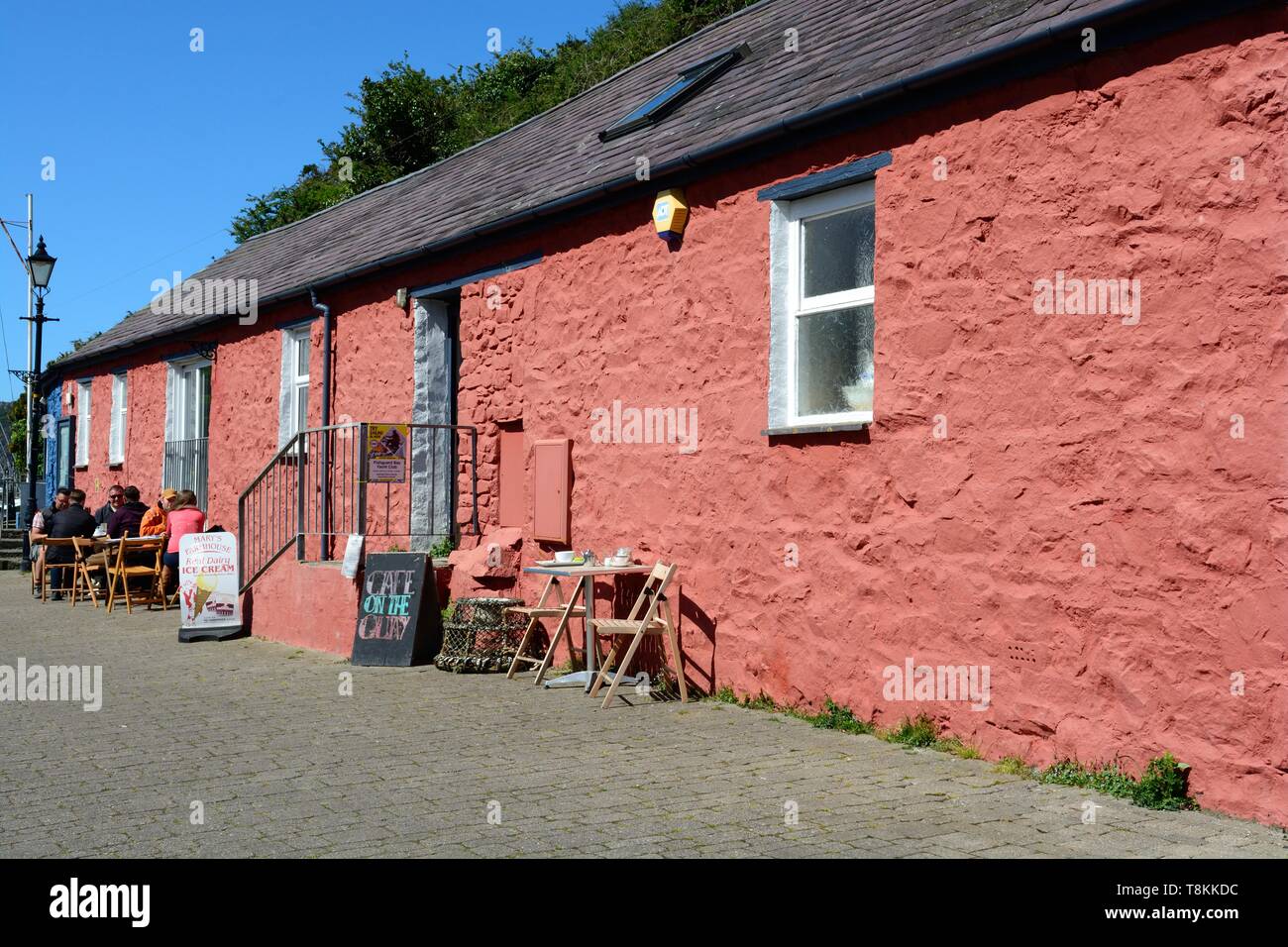 Dipinto luminosamente rosa cottage cafe abbassare Fishguard Pembrokeshire Coast National Park Galles Cymru REGNO UNITO Foto Stock