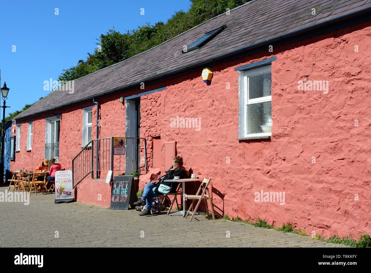 Dipinto luminosamente rosa cottage cafe abbassare Fishguard Pembrokeshire Coast National Park Galles Cymru REGNO UNITO Foto Stock