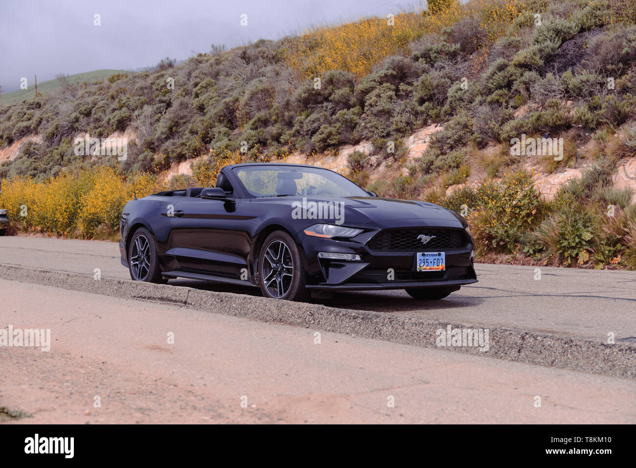 Convertibili 2018 Ford Mustang su autostrada. Foto Stock