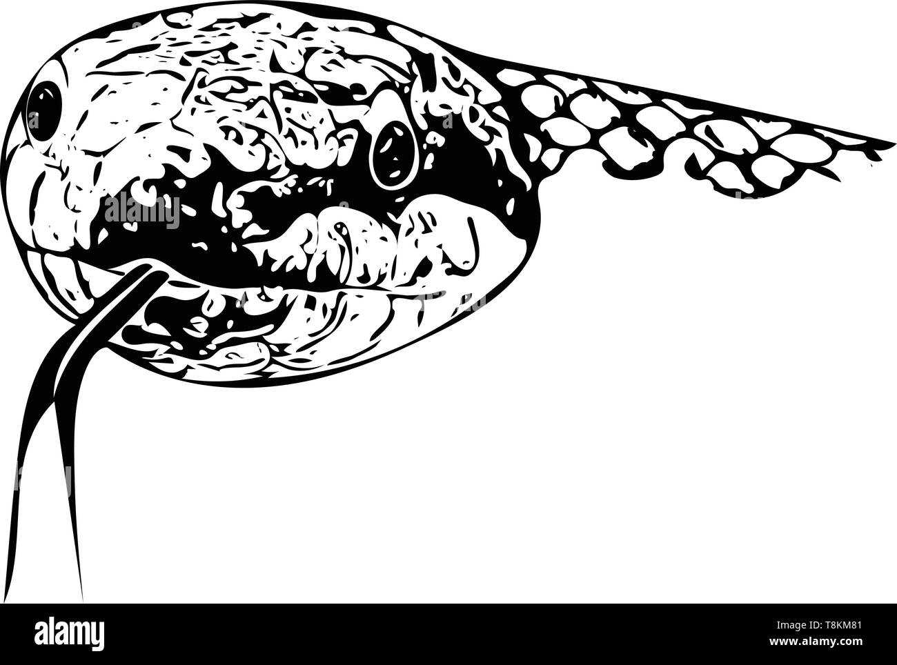Computer monocromatico disegnato illustrazione della testa di un serpente con testa con linguetta distesa sul bianco. Illustrazione Vettoriale