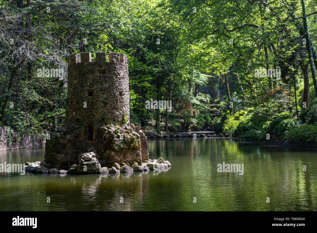 Natural Forest park Pena a Sintra, Portogallo, con alberi e pietre Foto Stock