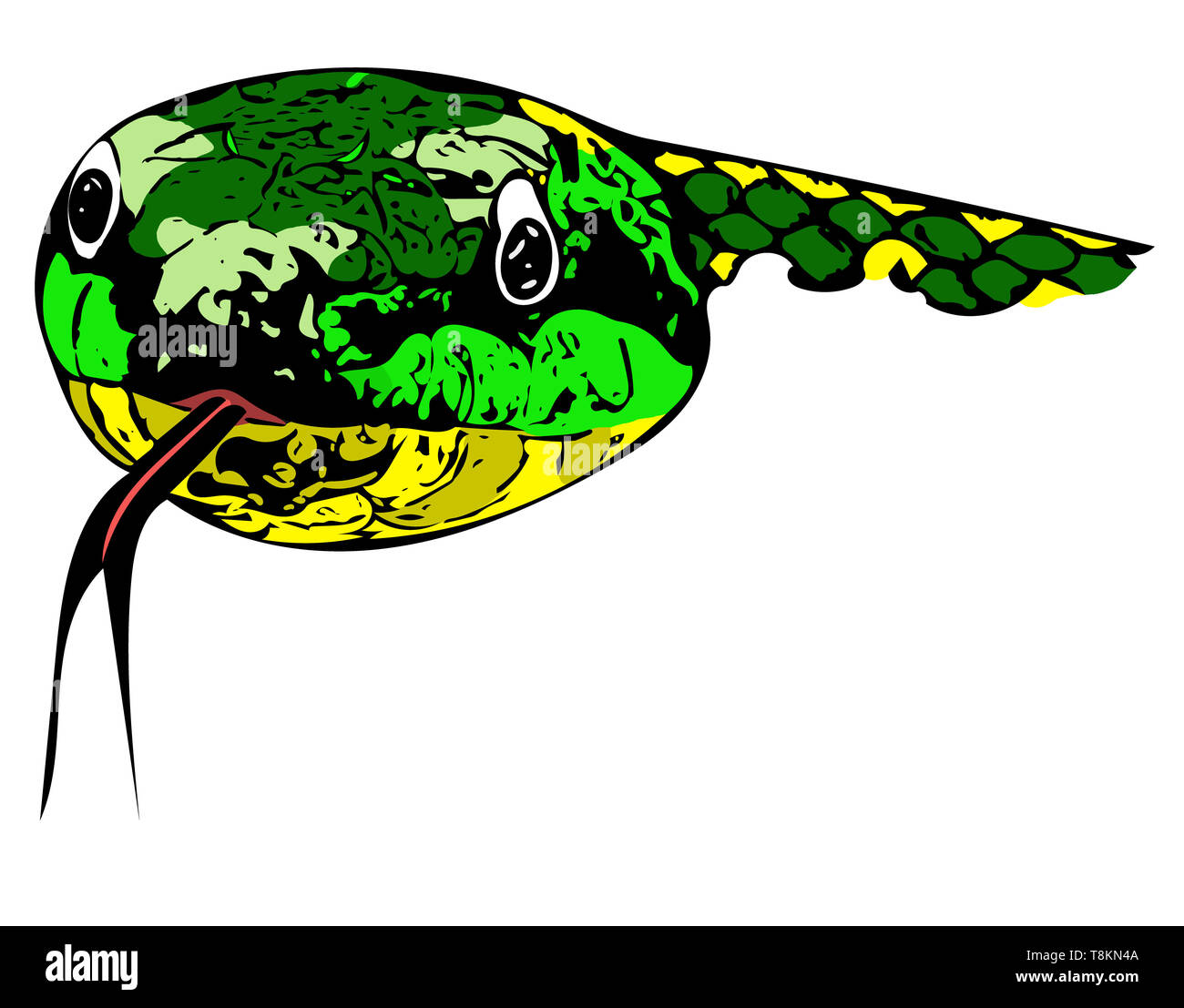 Calcolatore di colore disegnato illustrazione della testa di un verde vibrante di testa di serpente con linguetta distesa. Foto Stock