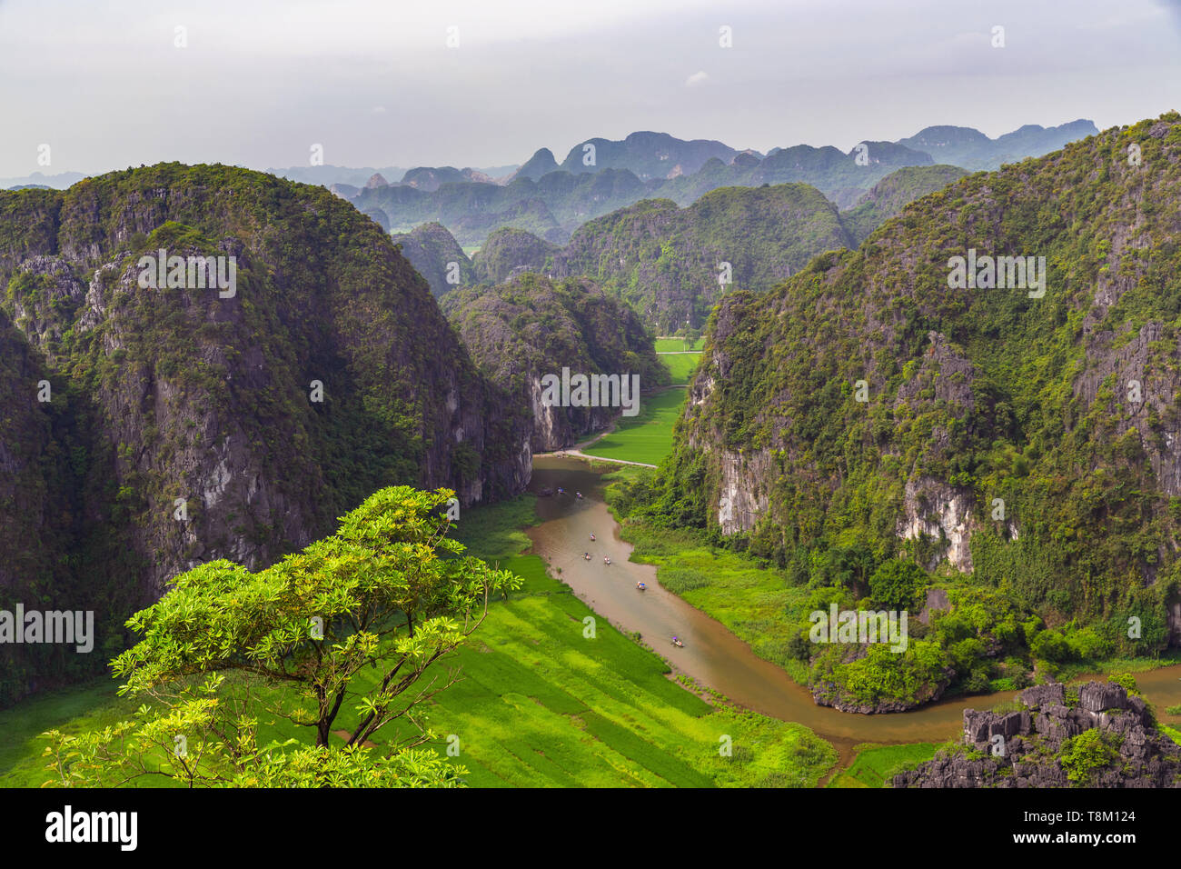 Carso paesaggio di montagna ad appendere Mua, Ninh Hai, Hoa Lu Distruct, Ninh Binh Provvidenza, Vietnam Asia Foto Stock