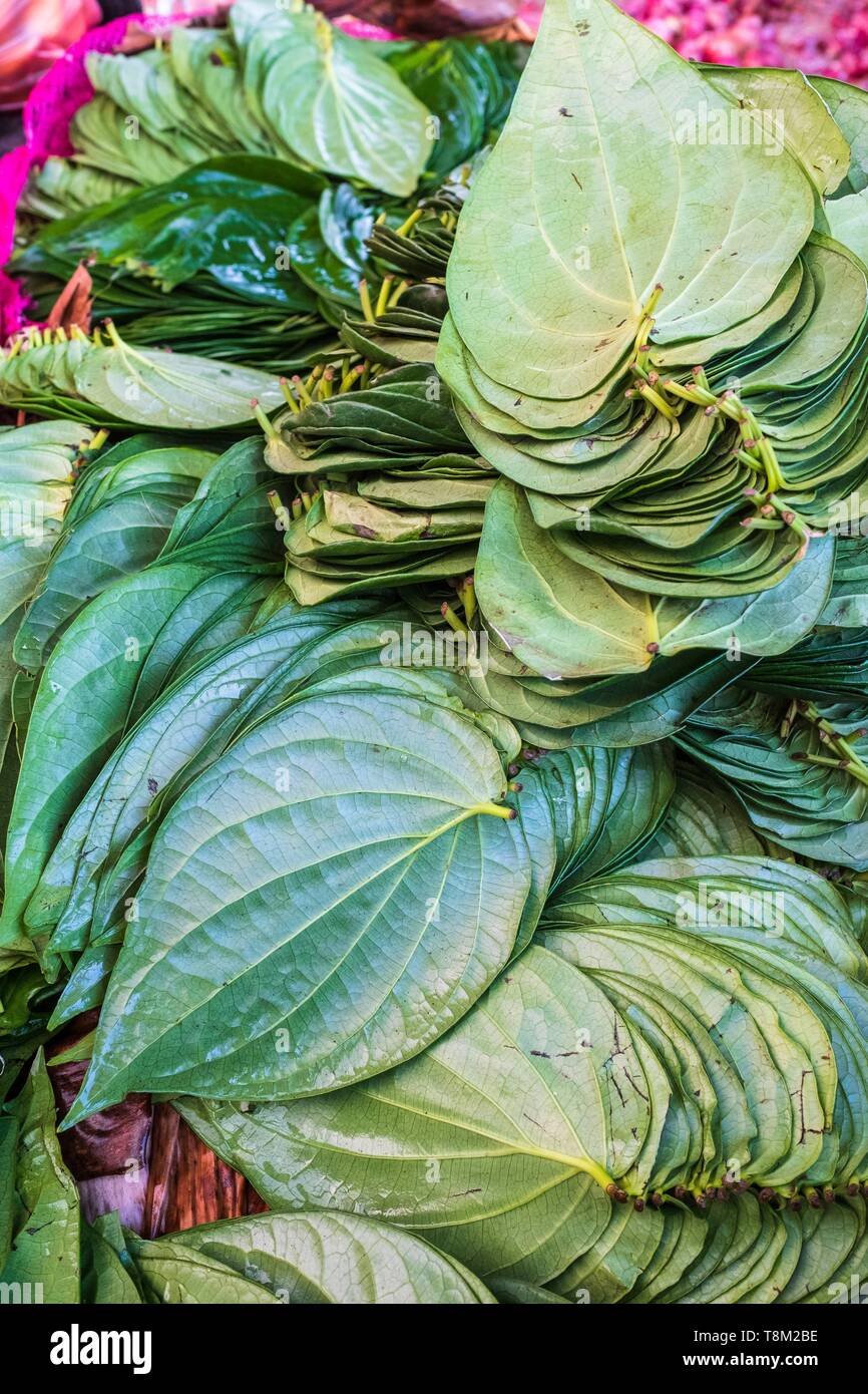 Sri Lanka, Nord provincia centrale, Polonnaruwa, frutta e verdura mercato settimanale, betel lascia Foto Stock