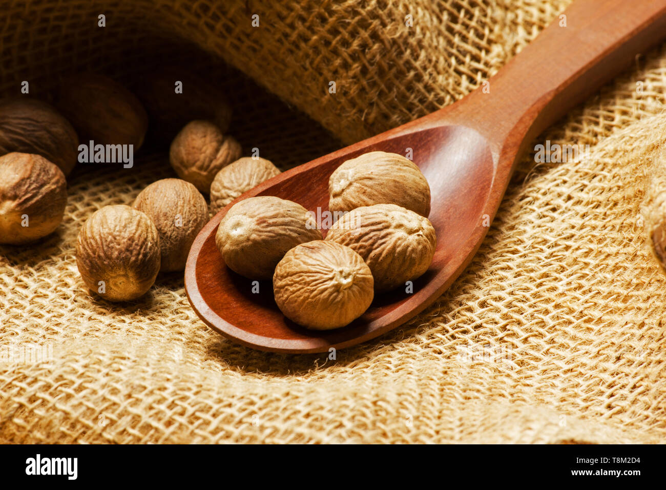 Fragranti noce moscata in un cucchiaio di legno su tela Foto Stock
