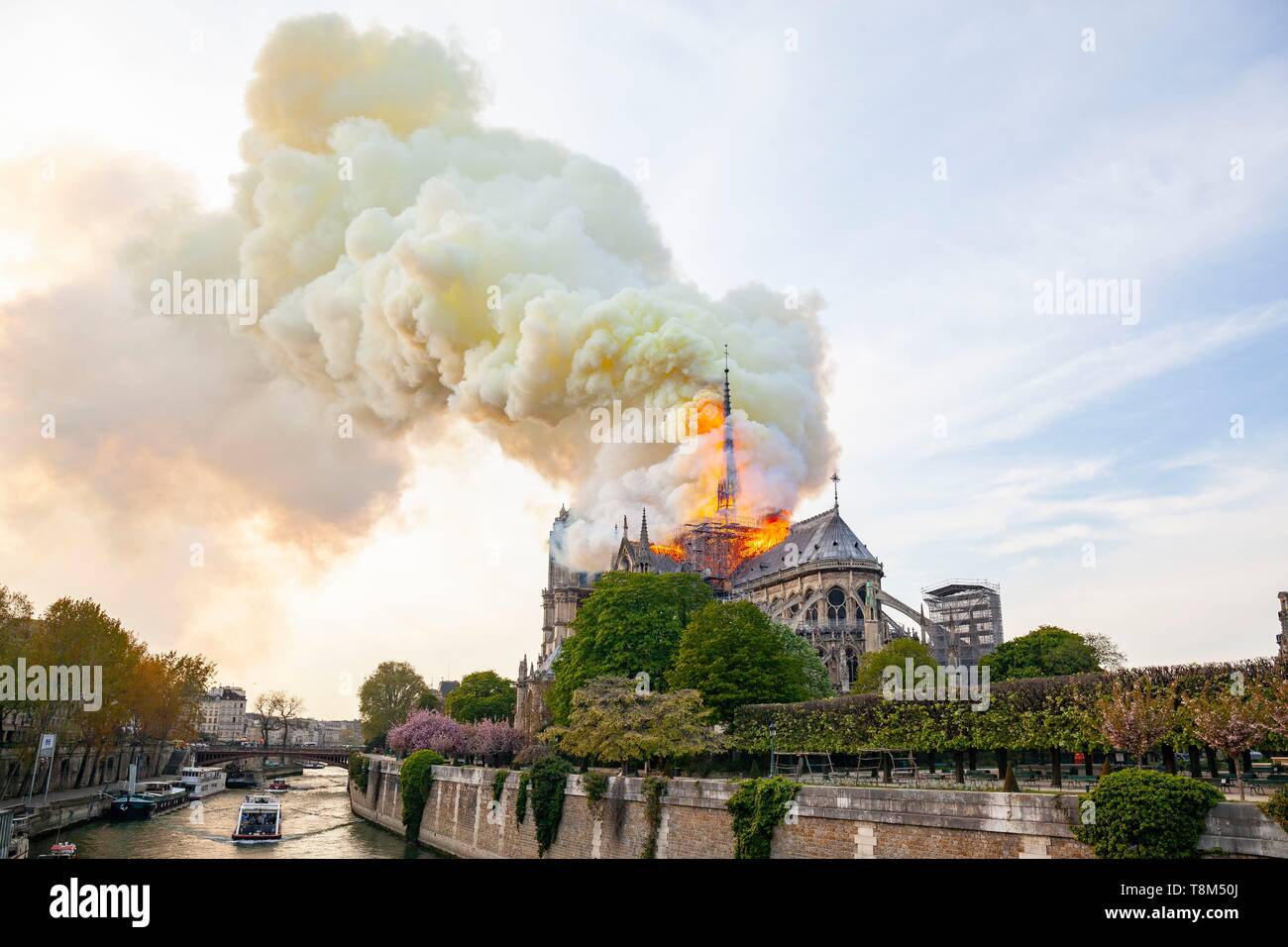 Francia, Parigi, zona elencata come patrimonio mondiale dall' UNESCO, Ile de la Cite, la cattedrale di Notre Dame de Paris, incendio che devastò la cattedrale il 15 aprile 2019 Foto Stock
