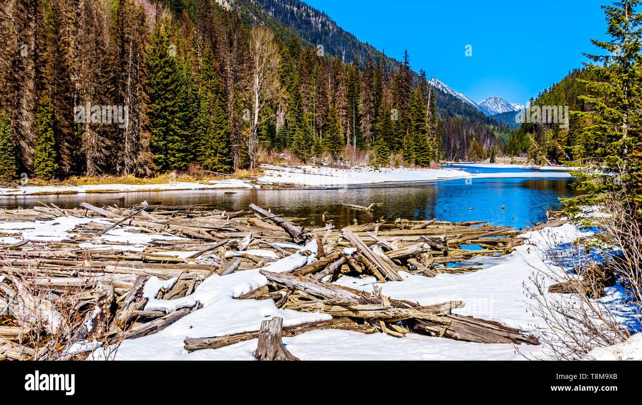 Congelati log jam al Lago Duffey in Costa Montagne in Cayoosh Creek che corre lungo la Duffey Lake road tra Pemberton e Lillooet, BC, Canada Foto Stock