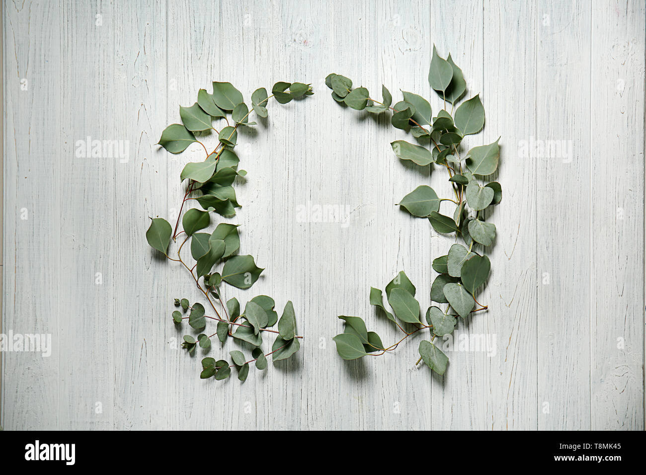 Cornice fatta di rami di eucalipto su luce tavolo in legno Foto Stock