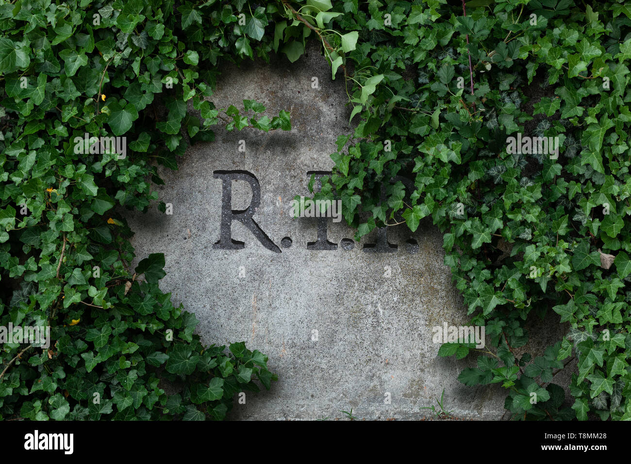 R.I.P. lettere incise nella pietra grigia pietra tombale incorniciato con lussureggiante verde edera Foto Stock