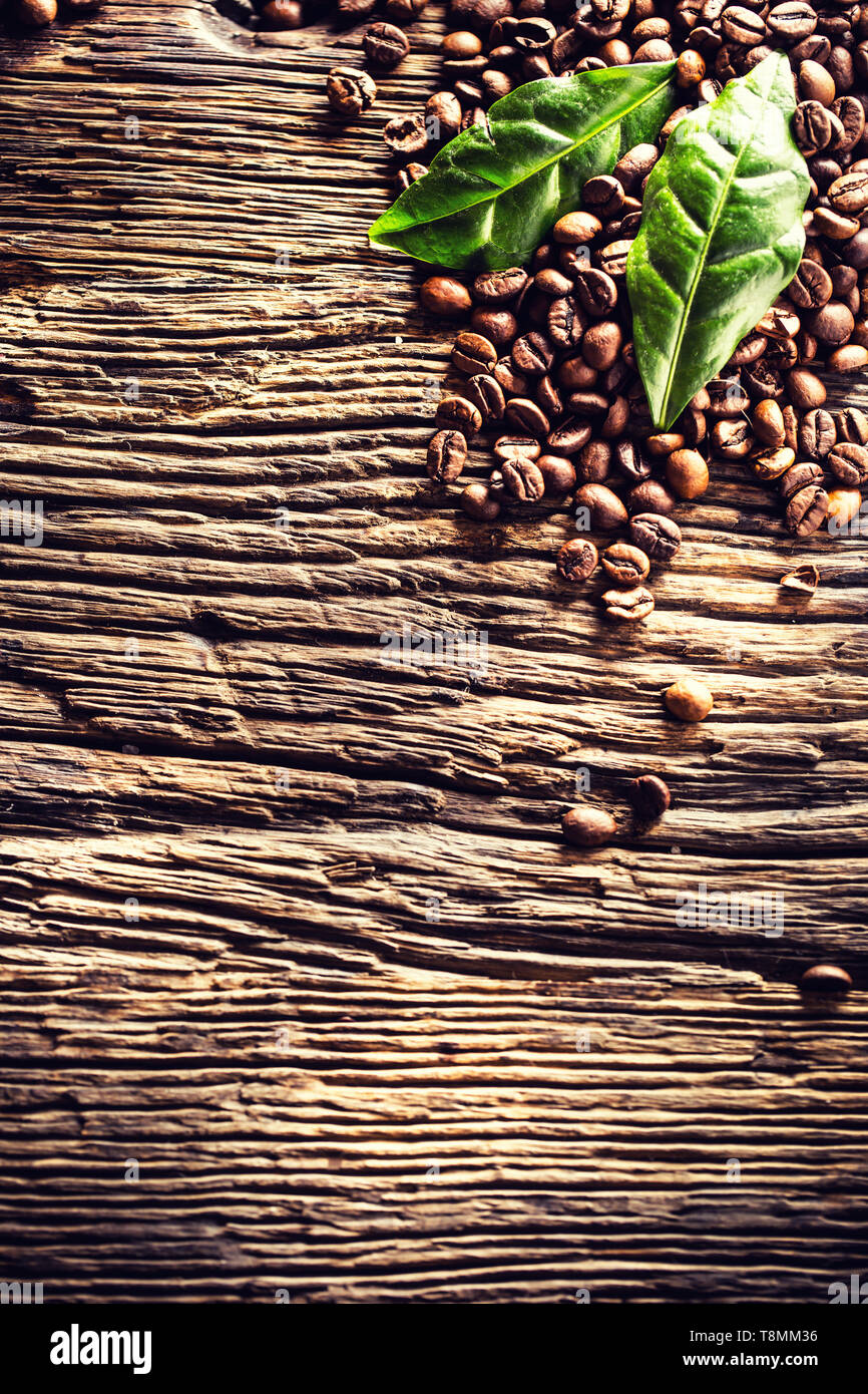 Parte superiore di vista i chicchi di caffè e foglie verdi sul rovere rustico tavolo Foto Stock