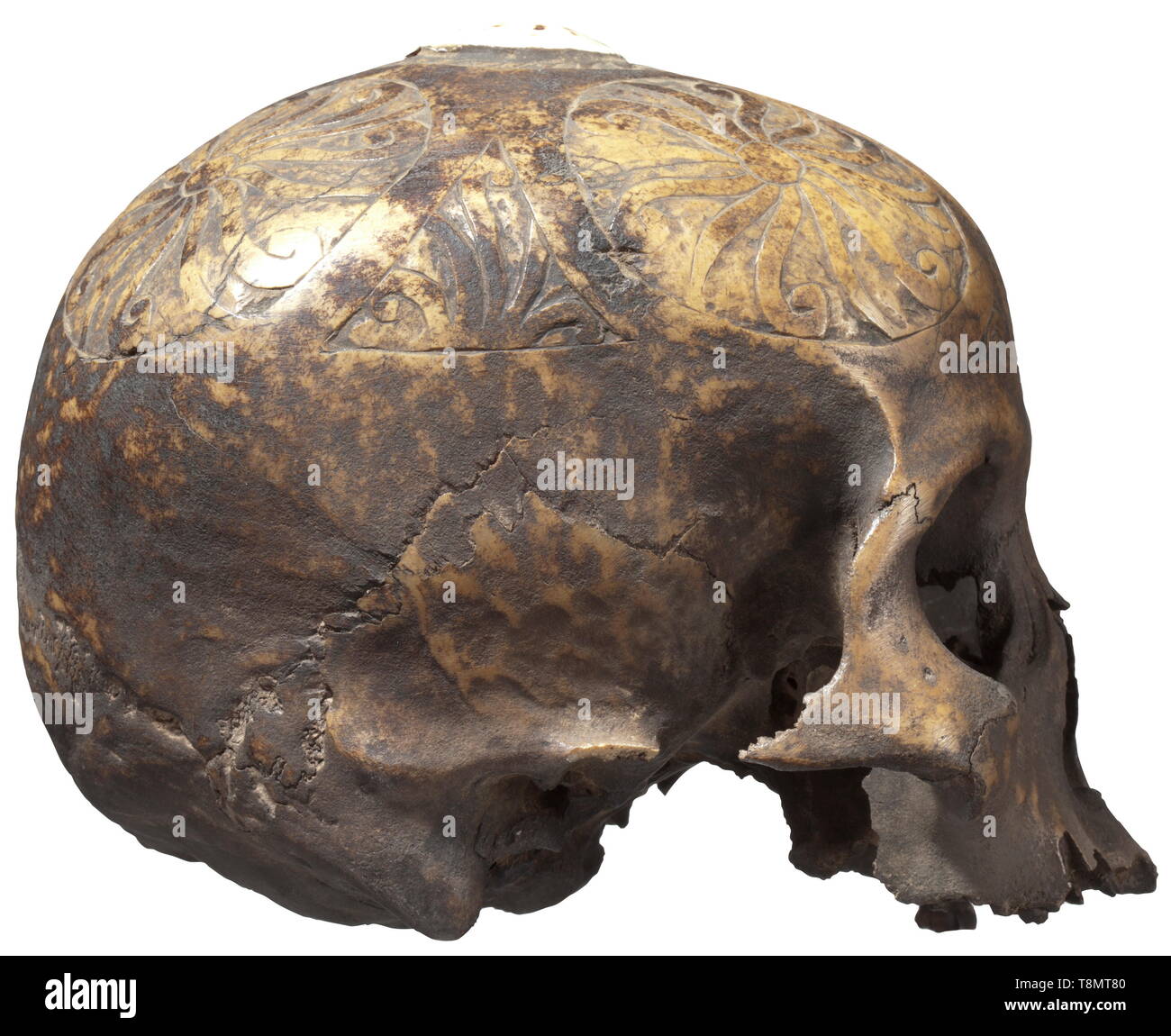 Un trofeo di cranio del popolo dayak, Borneo riccamente intagliati cranio intero zucchetto profusamente decorate con ornamenti, lucidati guscio di una lumaca di mare intarsiata al centro. Cranio parzialmente con patina scura, occhio prese e cavità nasale con i segni dell'età, la maggior parte dei denti della mascella superiore mancante. Altezza 15 cm. storica, storica, arcipelago indonesiano, Indonesia, Estremo Oriente, dell'Asia, asiatici, etnologia, etnia, etnica, tribale, oggetto, gli oggetti alambicchi, clipping, clippings, tagliate, cut-out, ritagli Additional-Rights-Clearance-Info-Not-Available Foto Stock