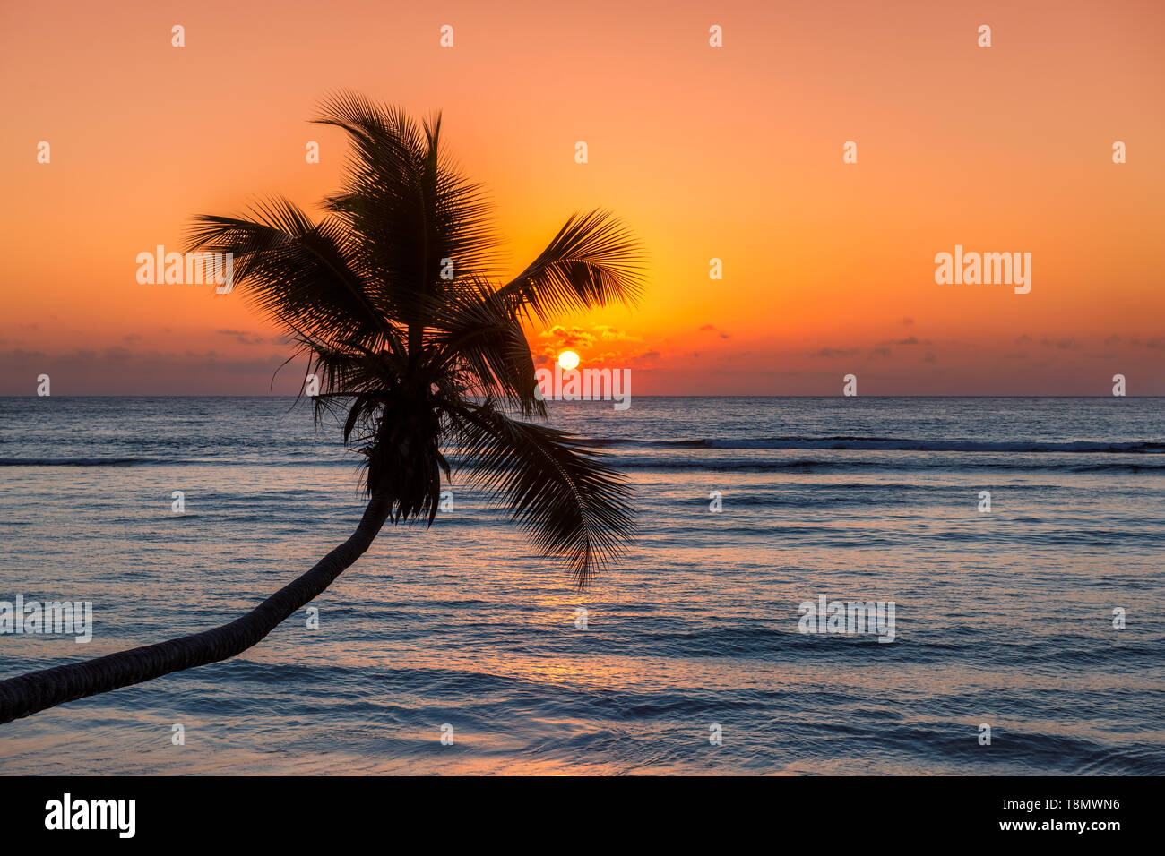 Spiaggia tropicale al tramonto Foto Stock