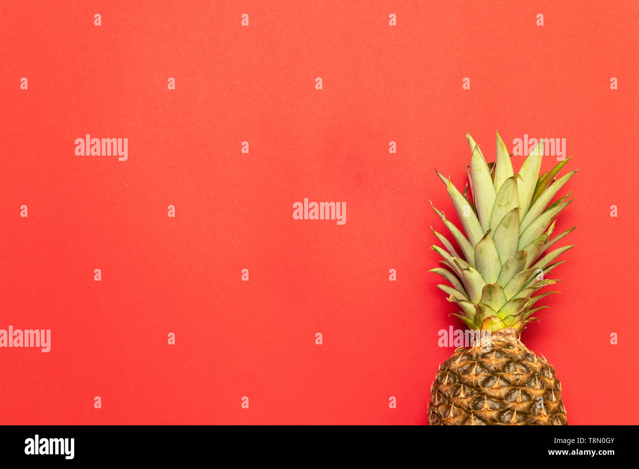 Estate, concetto di vacanza. Ananas frutta sfondo. Close up di Ananas tropicale texture. Foto Stock