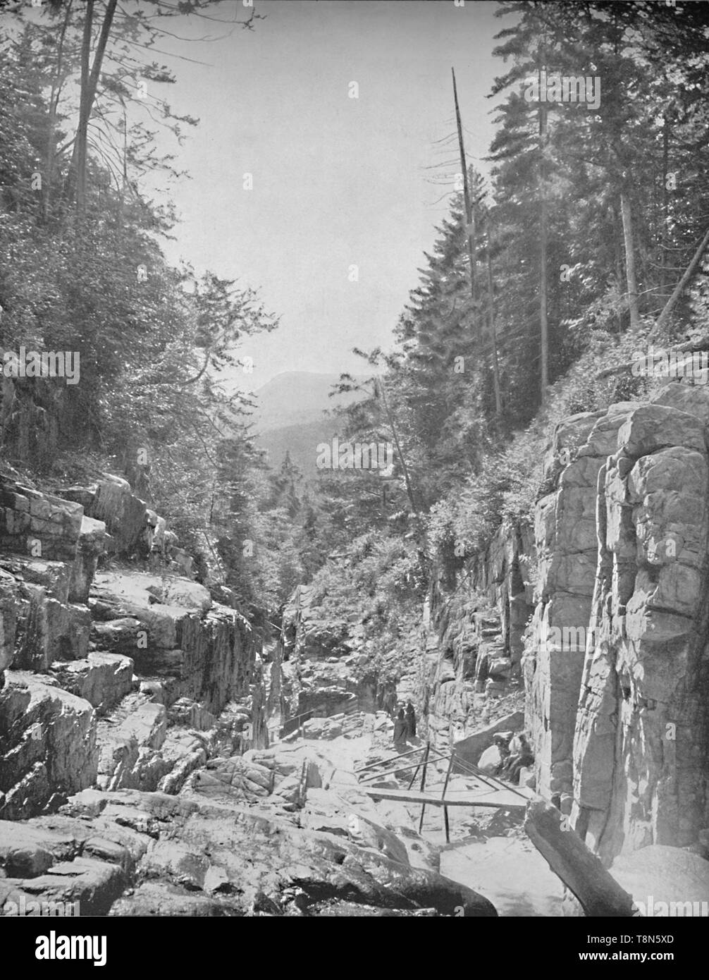 'Il Flume, Franconia (bianco) montagne, N.H.', C1897. Creatore: sconosciuto. Foto Stock