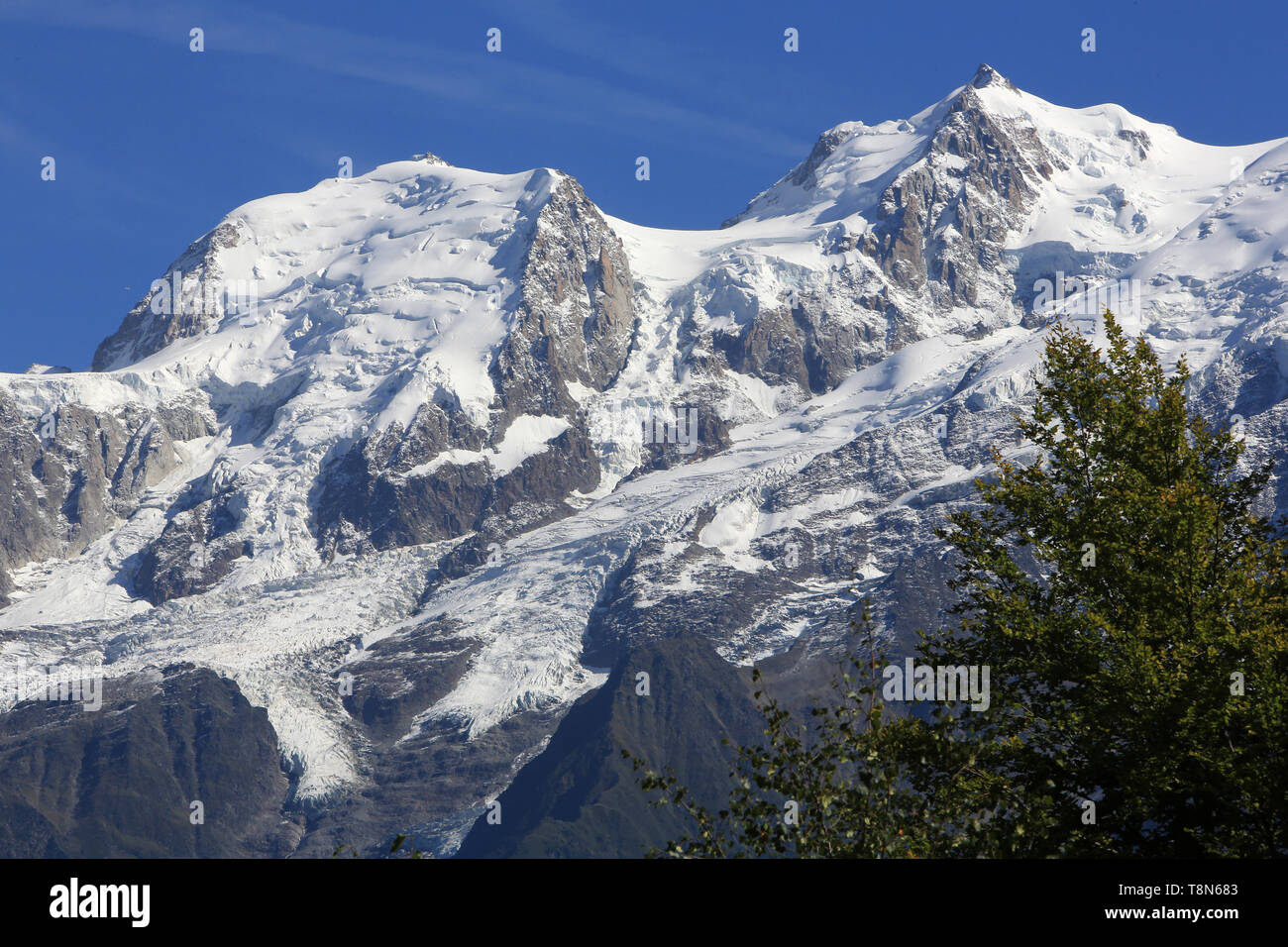 Massif du Mont-Blanc. Alta Savoia. La Francia. Foto Stock