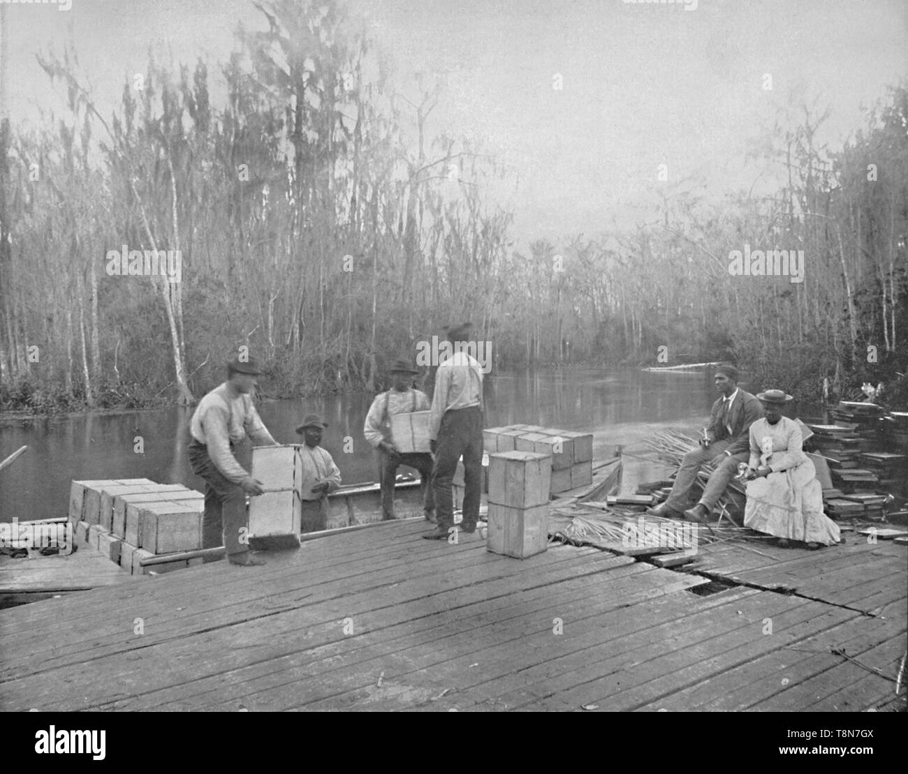 'Caricamento arance sul fiume Ocklawaha, Florida', C1897. Creatore: sconosciuto. Foto Stock