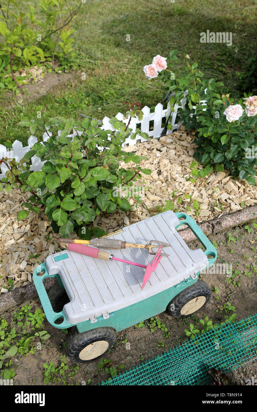 Outils de jardinage. Bêche, unità organizzativa râteau plantoir. Foto Stock