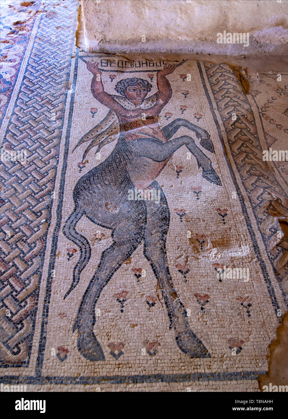 Frammento di un antico pavimento a mosaico nel Zippori National Park, Israele. Città antica Zippori con rovine e mosaici è una famosa località turistica Foto Stock