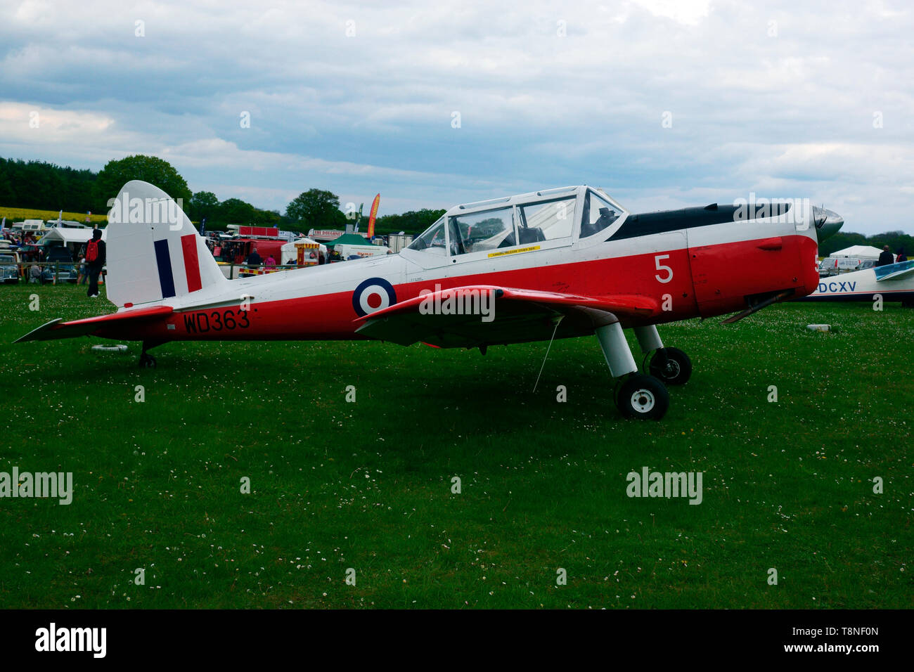 D.H. Scoiattolo striado T22 WD363 5 EGHP POPHAM Foto Stock