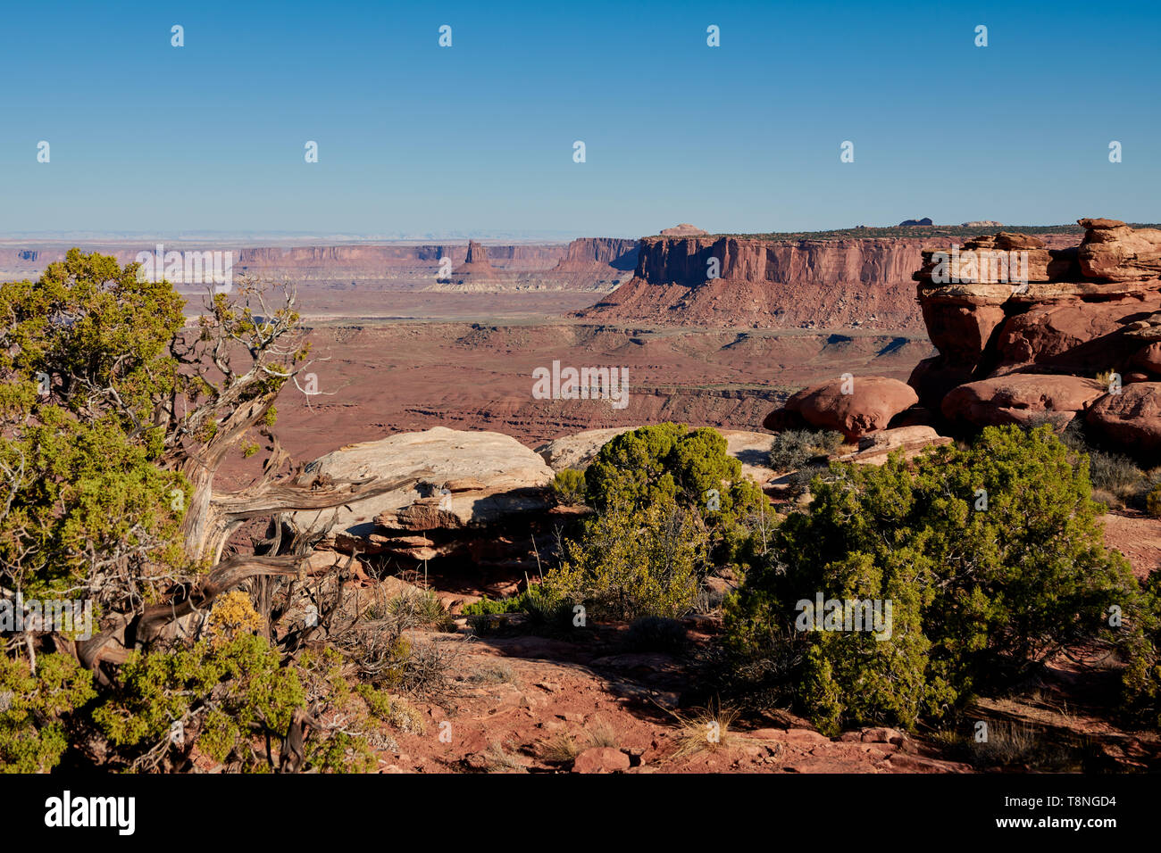 Grandview punto nel Parco Nazionale di Canyonlands, Island in the Sky , Moab, Utah, Stati Uniti d'America, America del Nord Foto Stock