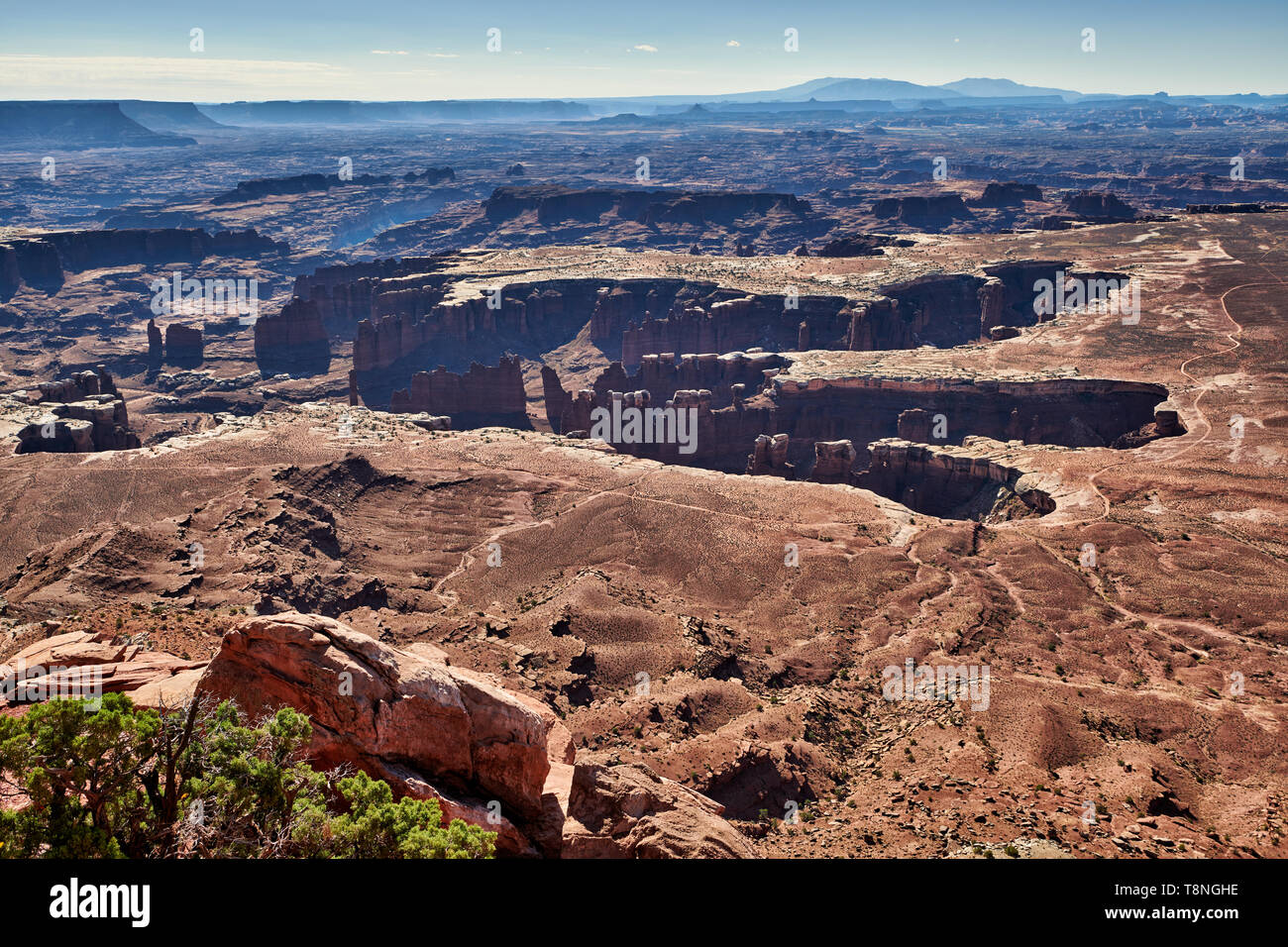 Grandview punto nel Parco Nazionale di Canyonlands, Island in the Sky , Moab, Utah, Stati Uniti d'America, America del Nord Foto Stock