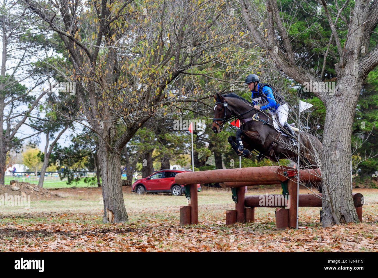 Piloti in lizza al Marcus Oldham Ballarat International Horse Trials 2019 Foto Stock